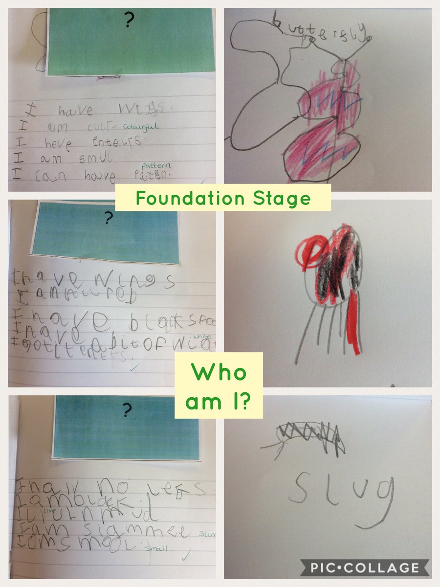 MrsPlattL's tweet image. I loved some of these clues! Did you guess what mini beasts they were writing about? @PinehurstP @ashclass17 #whoami #letsgetwriting