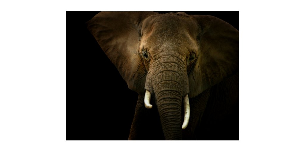 RhoadesForJudge's tweet image. Becoming Republican, or how I got here.  New blog post! ow.ly/4mSs30jUrAg  #runningforjudge #newtoncounty #freedom