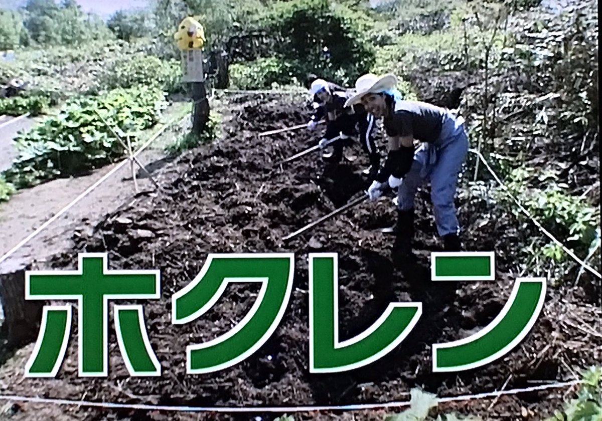 独断と偏見を以て 名画で学ぶ水曜どうでしょう をまとめてみた Togetter