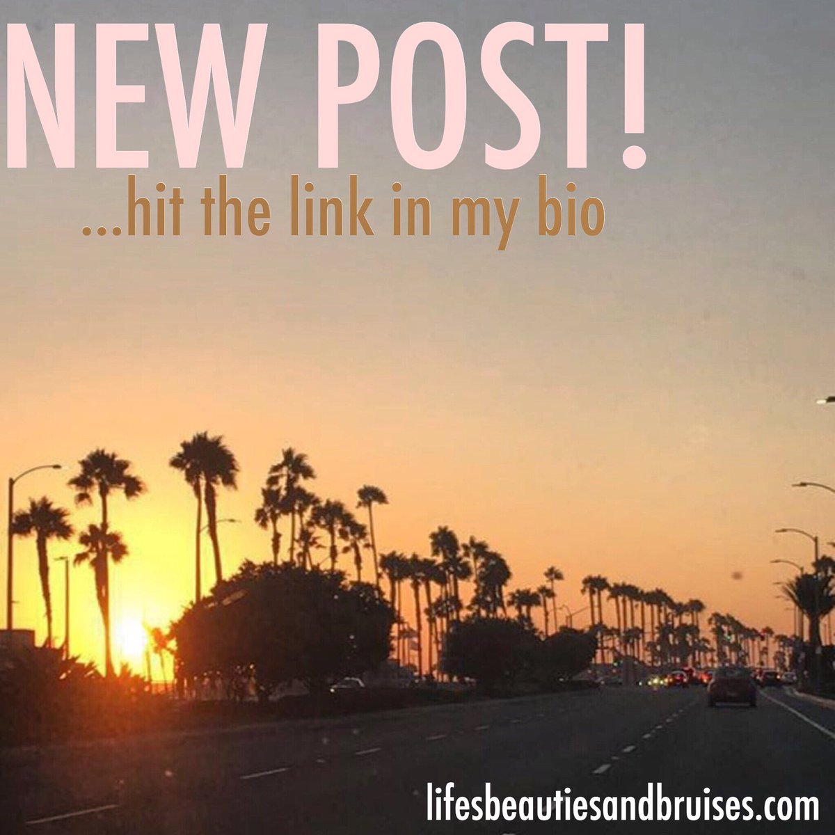 beautyxbruises's tweet image. New posts on the blog! Click on the link in my bio &amp;amp; check it out😎
#blog #momblog #relationshipblog #fitnessblog #motivationalblog #motivation #inspiration #mommying #relationships #fitness #life #lifesbeautiesandbruises #linkinbio