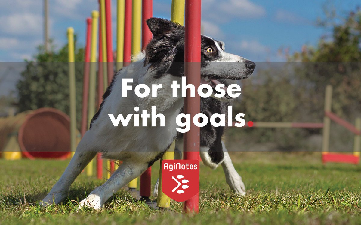 marleanok's tweet photo. It's been quite a year or two, but soon we'll get AgiNotes beta launched :) We hope to help dog agility people reach their goals with the help of our service. #agility #dogs #dogsports #dogagility https://t.co/tQiXpXyBCt