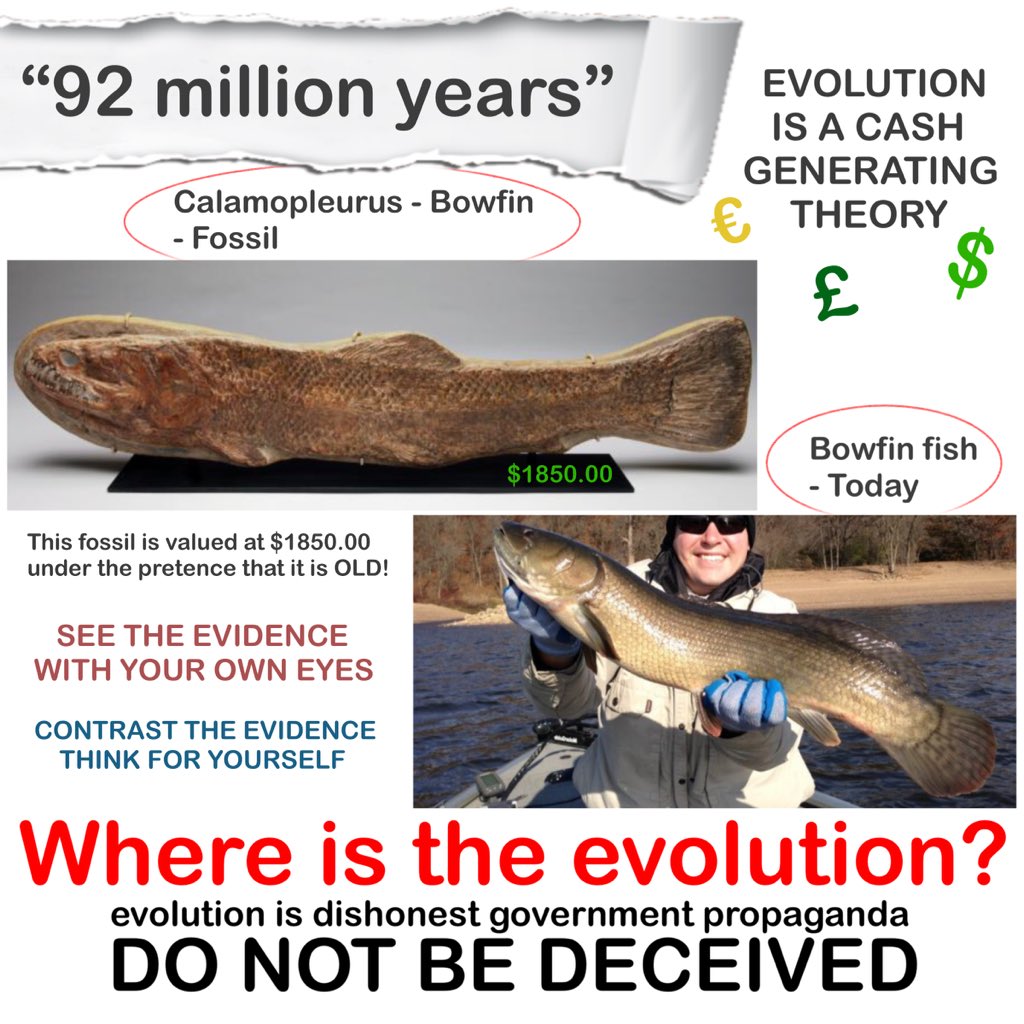 Where Is The Evolution (@EvolutionWhere) / Posts / X