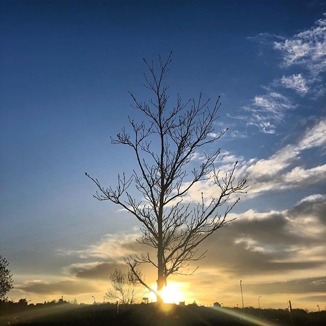 3duardoQ's tweet photo. Reposting @chrismalenab:
Chasing the sunrise on my morning run. #9run6 #teamzensah #teamnuun #fueledbyscience #golikeneverbefore #rocknblog #sacrunmento #withoutlimitz #skechersperformance #sunrise #sunrise🌅 #nature #sun #landscape #sunset #sky #sunshine #sunrise_and_sunsets https://t.co/Y3rDSZUyi8