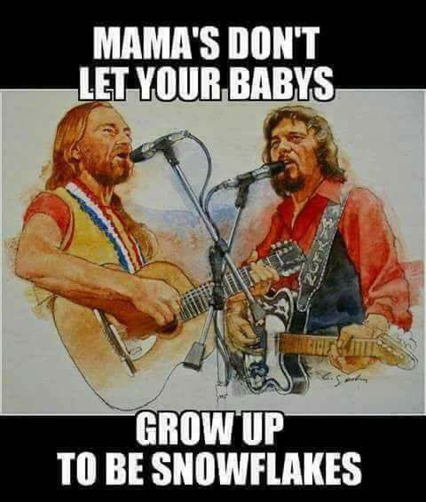 SixFootSusan's tweet photo. Willie, Waylon and the boys know what they’re talking about! #SnowflakeRepel #BallsRule #TeamTrump @realDonaldTrump #MAGA #TheseColorsDontRun #Constitution #Amendments #Backbone #USA🇺🇸🇺🇸🇺🇸🇺🇸 https://t.co/y3cPR1kqxM