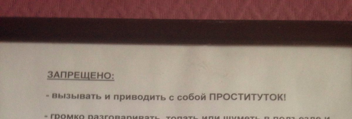 анастейша tweet media