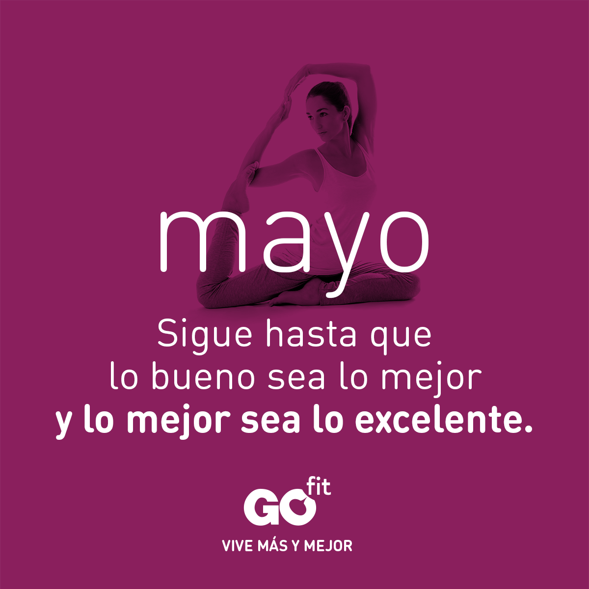 GOfit_es's tweet photo. Nunca pares de avanzar, sigue mejorando un poco todos los días y alcanzarás tus metas ✨. #GOfitMotivation https://t.co/iKlBfyB1bs