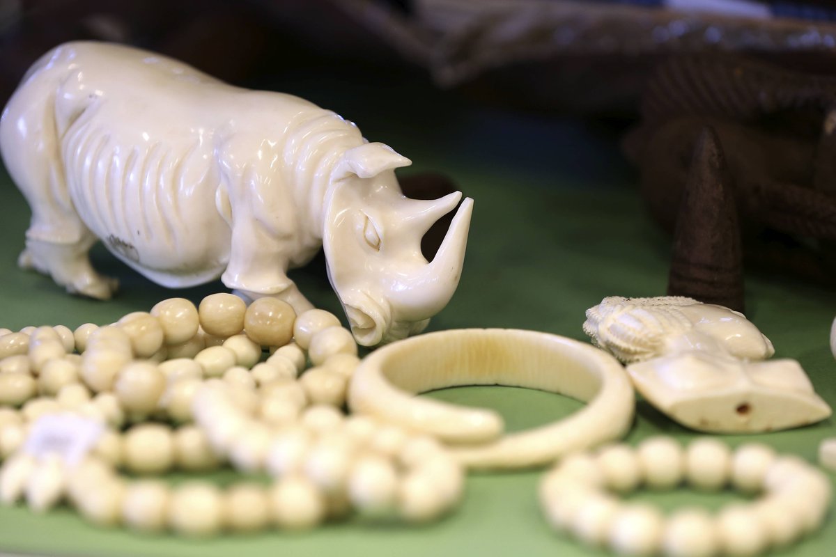 ToerAtt's tweet photo. Laat je (slag)tanden zien. Actie tegen illegale handel in ivoor. https://t.co/qW8chSRBsX
@zooantwerpen @zooplanckendael
@Pairi_Daiza_ https://t.co/wMU3qOPe9N