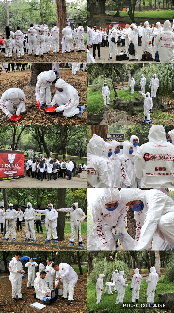 CDMXOR's tweet photo. Gran día de cierre de #PracticasProfesionales #Criminalistica y #Derecho en el emblemático @ChapultepecCDMX Gracias al @GobCDMX Por la autorización y facilidades otorgadas para realizar está actividad #OrgulloCescijuc #YoSoyCescijuc #CESCIJUC https://t.co/6zOlbCtwsR