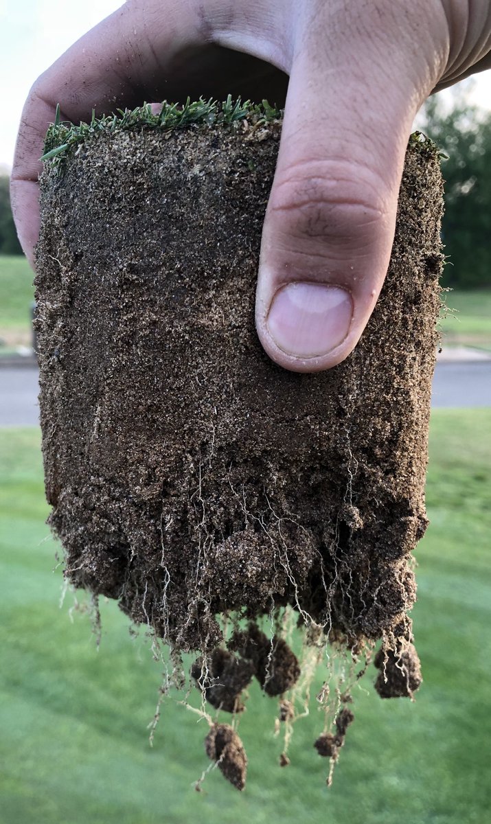 Starting out the year strong 💪🏻. Always a good view going into the summer months. <a href="/redoxturf/">Redox Turf</a> @AquaAidInc <a href="/wormpowerturf/">Worm Power Turf</a>