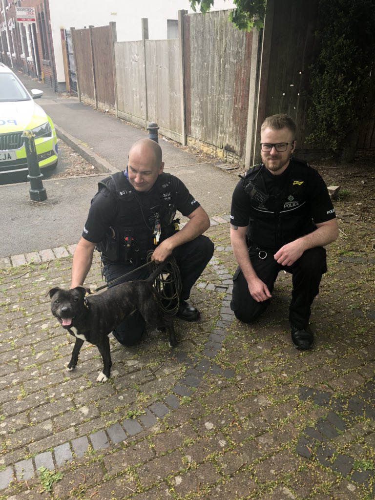 PD Cooper tweet media