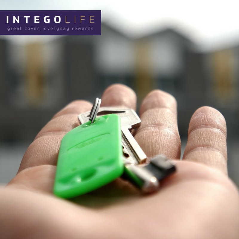 Intego Life tweet media