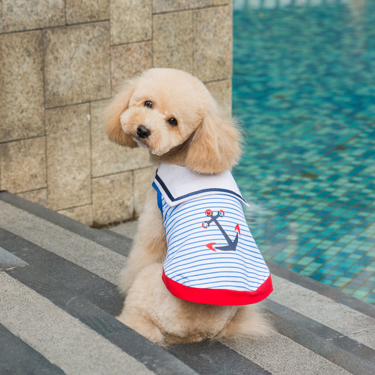 Brighten this gloomy day with our Happy Puppy Sailor Suit doggiepet.com