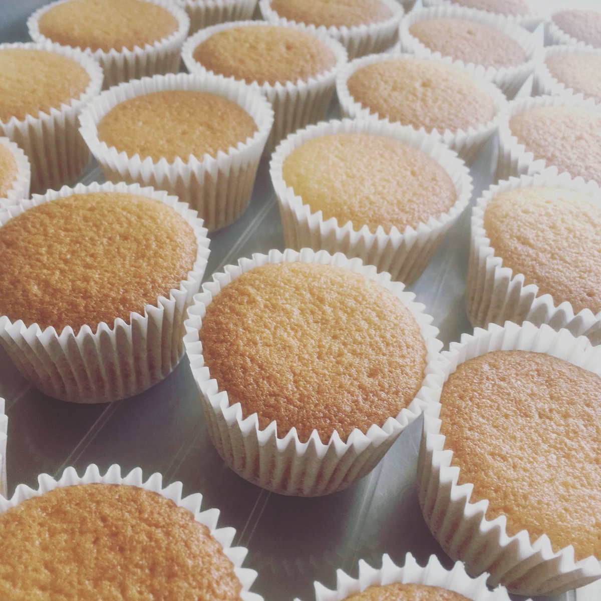 tspcake's tweet image. 🙌