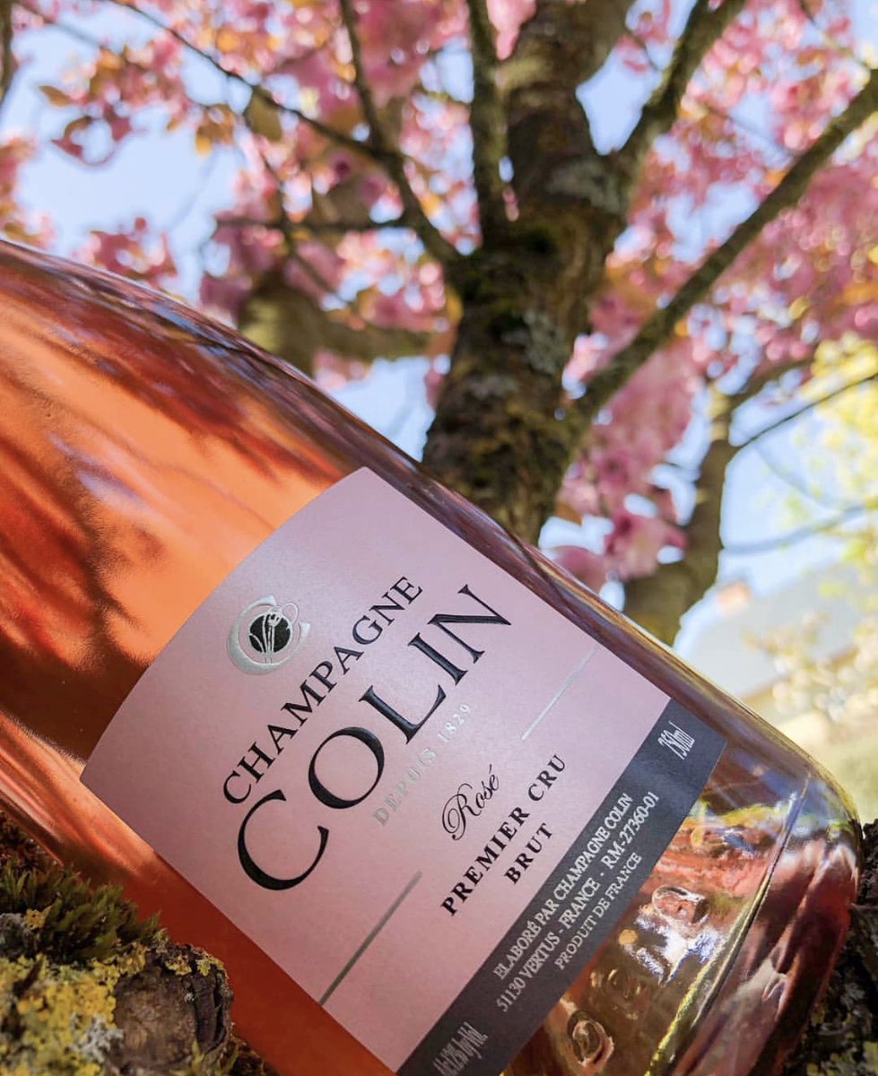 French Bubbles tweet media