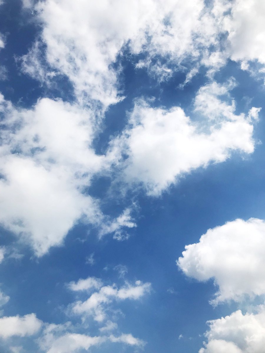 KentBlogNetwork's tweet image. Another beautiful day in #Kent ✨