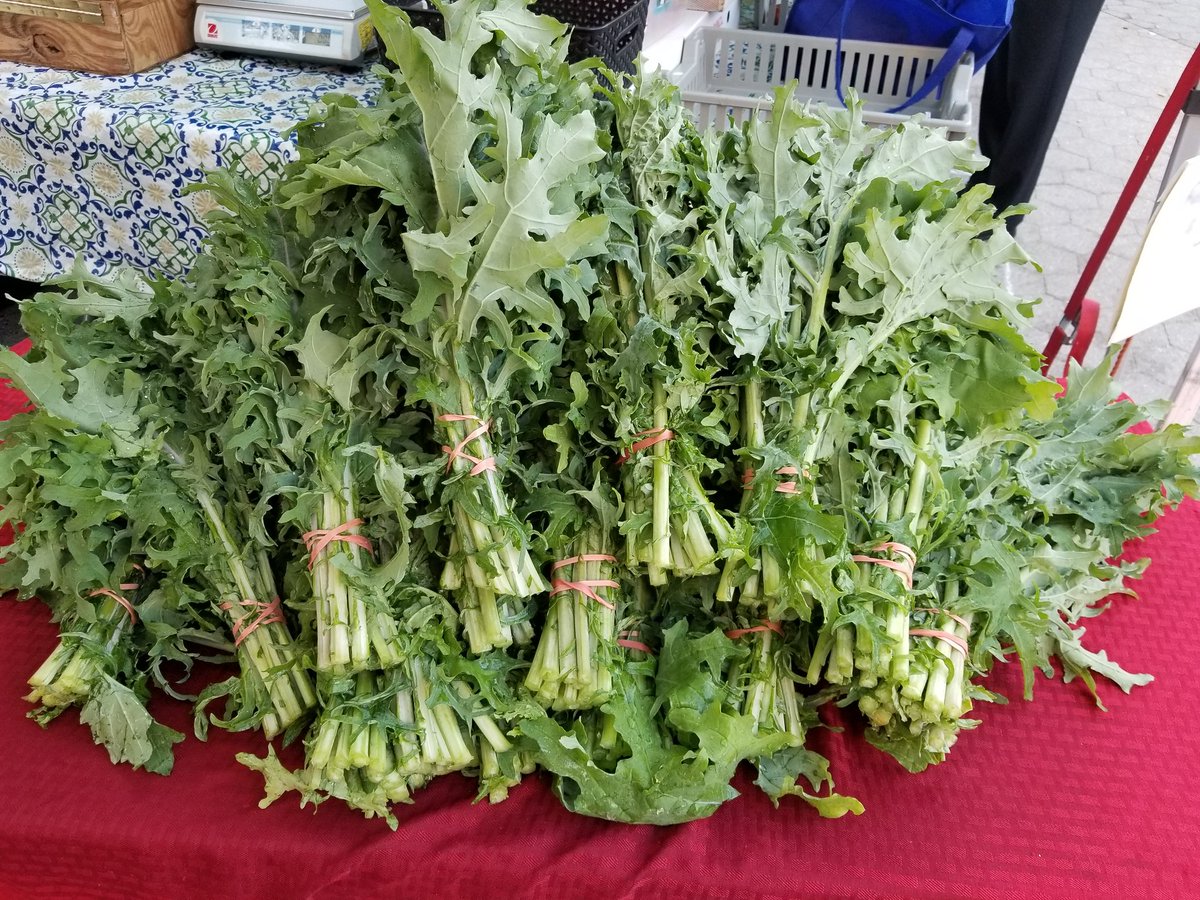 cherrylanefarms's tweet photo. Spring is here and so are we @UnSqGreenmarket with lots of beautiful #asparagus #strawberry #swisschard #kale https://t.co/d8nce6qQCd