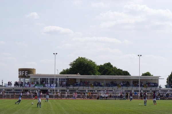 Afbeeldingsresultaat voor conifa queen elizabeth