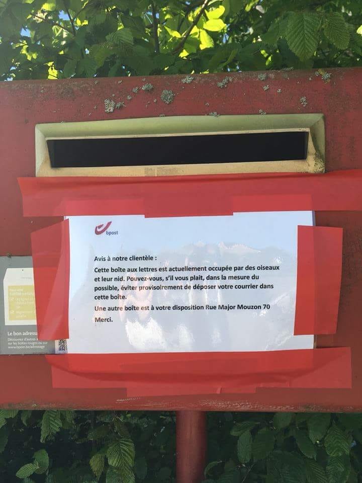 ChristianTerryn's tweet image. Quand la @bpost_fr fait du très bon boulot pour le bien de tous même les #oiseaux ! #Ochamps #libin #Belgique