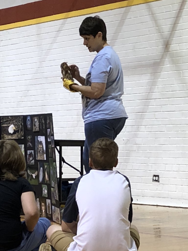 Fourth grade got treated to a lesson on animals this morning and got to see an actual screech owl! <a href="/RESTigers/">Rockford Elementary</a> @nwilliamsRES4th @AWhiteheadRES4 @MDennyRES4 #RESSOARS