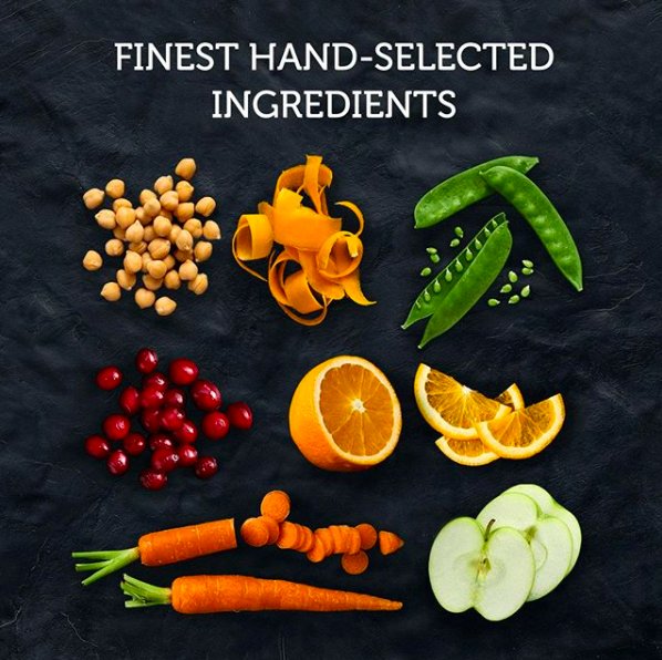 We are loving our journey with the lovely people at @fieldforestza, have you tried their new range of healthy, balanced food for our favourite four-legged friends yet? Head to their website to read more about why their hand-picked, grain-free products are so special. #doglovers