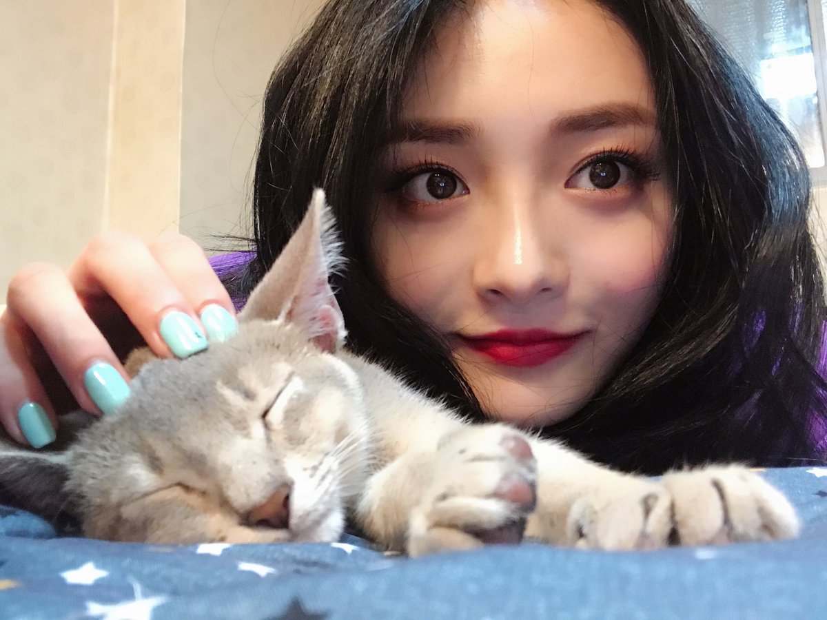 Imagini pentru Kyulkyung and cat