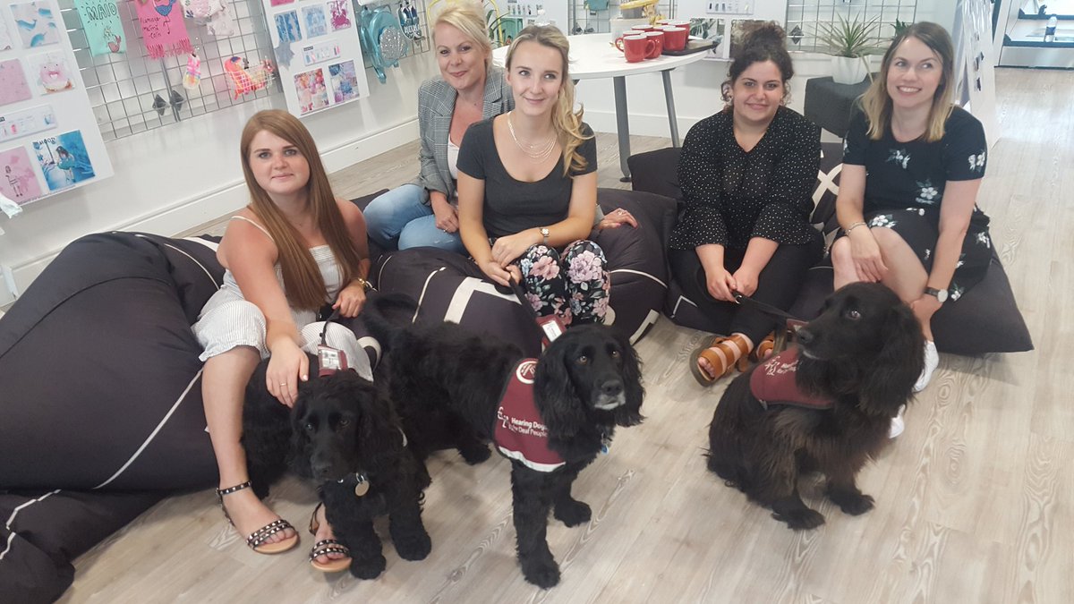 missmjs1's tweet image. #fandf Tesco Every &apos;little helpers&quot; raising a pawsome £400+ @HearingDogs - thank you! 😀