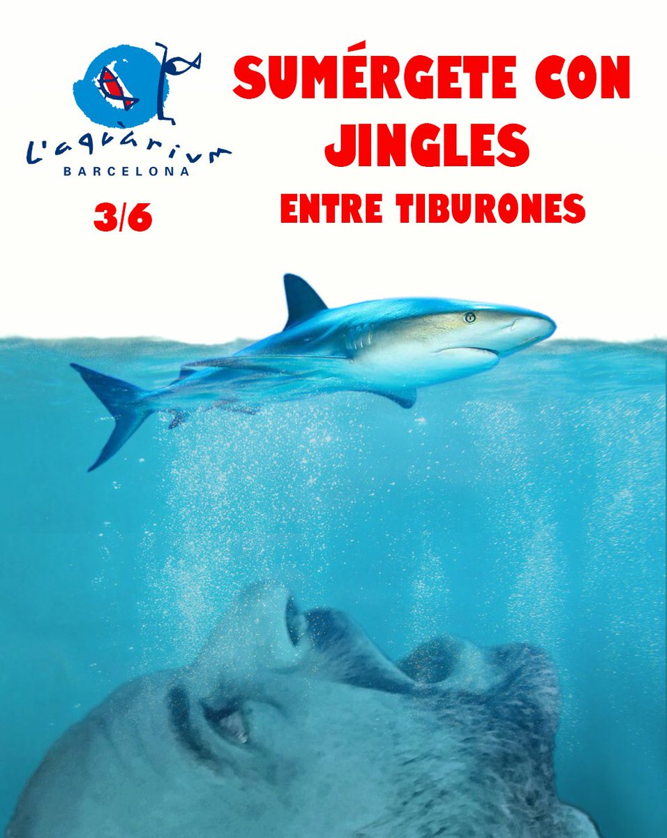 TodoJingles tweet media