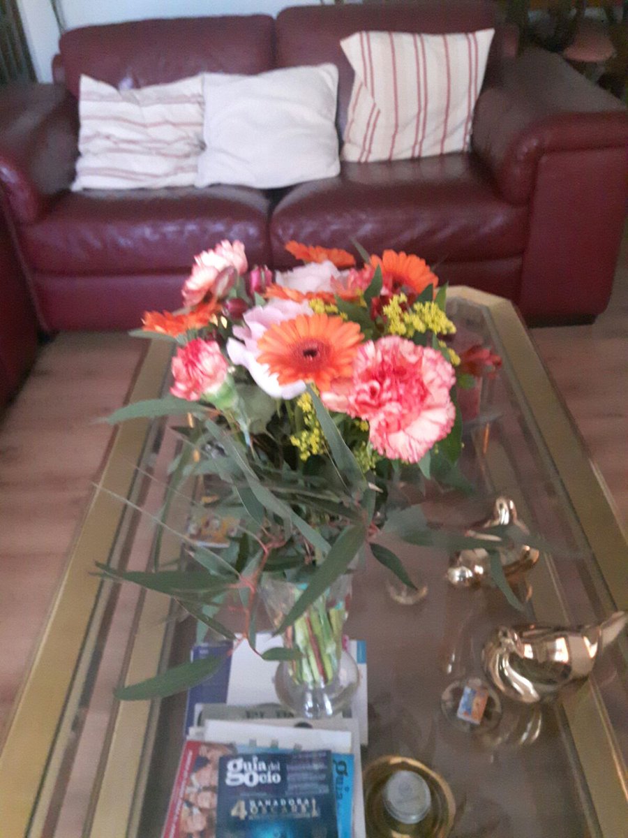 bossan210's tweet photo. Parece ser que @interfloraes compra ahora las flores en AliExpress! :):) https://t.co/Ee4QQdoBvQ