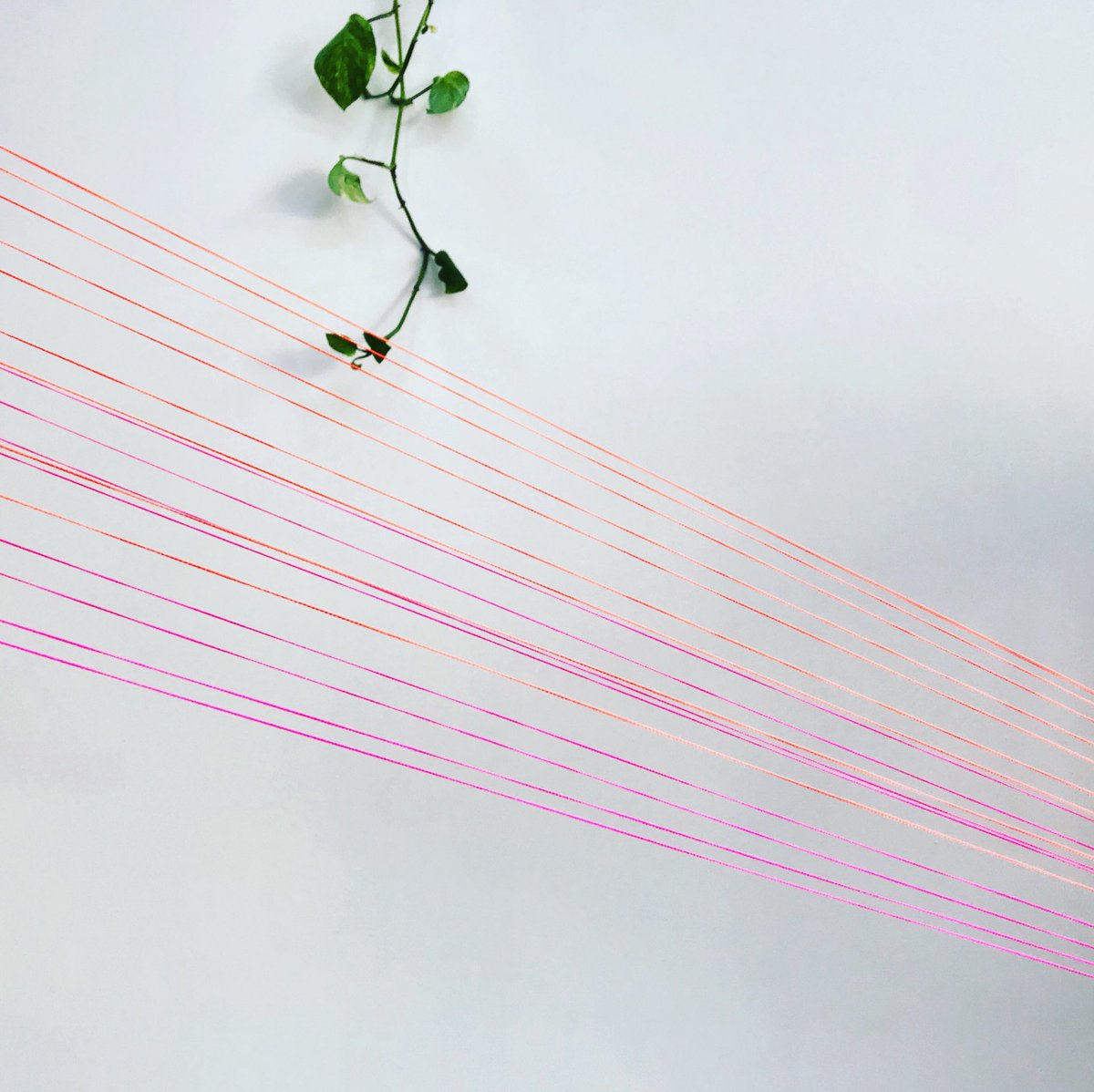 SPURperth's tweet photo. We have a little something in the works! #installation #99lines @FeldandCo https://t.co/vFOxRW3uS2