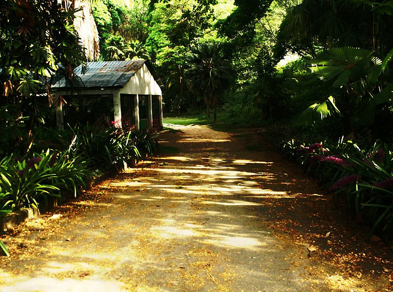 #TalDiaComoHoy #09M Se crea la Fundación Instituto Jardín Botánico (1991) ow.ly/KUyx30jQcPc