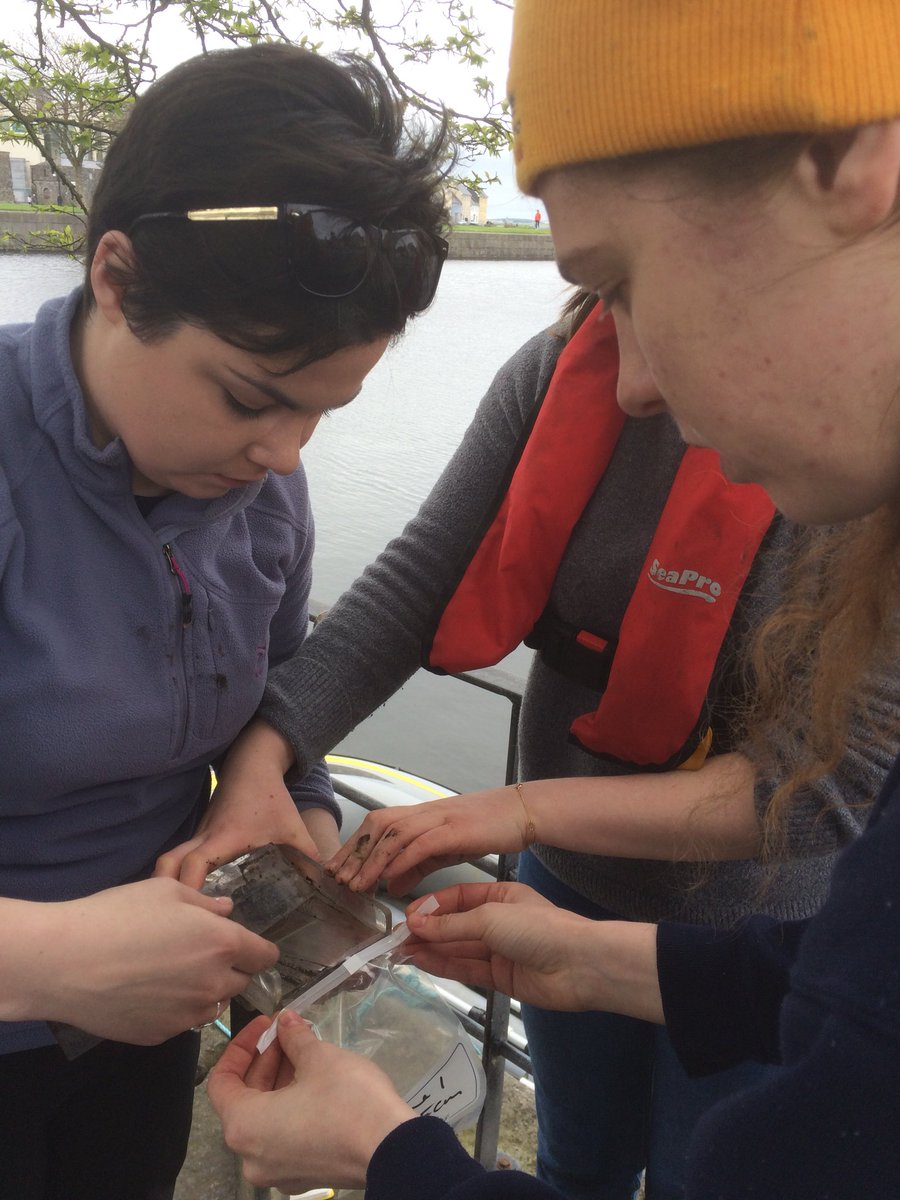 What does #research look like @SeaShoreNUIG ? For @MiaMiadonnelly1 it means #Galway basin core to assess water quality & aquatic life including @IUCNRedList critically endangered juvenile #europeaneel #geographymatters @EcofactEcology @ResearchIFI @epaecology