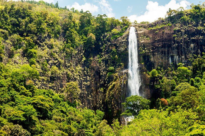 pearllankalk's tweet photo. Nuwara Eliya has been a top rated tourist destination throughout the centuries and never seize to prove its capacity of attraction in terms of natural beauty, natural resources and the climate one would crave for.
https://t.co/hBPdDmP7Lg
#nuwaraeliya #horton #devonfalls #travel https://t.co/JaaG0rcXBM