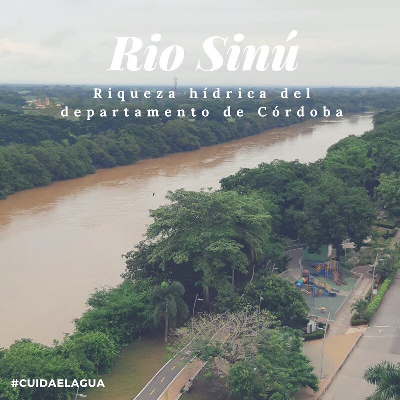 CorporacionCVS's tweet photo. El rio Sinú es uno de los más importante del país en la vertiente del Caribe. Está entre los más fértiles del mundo. #Córdobahídricaybiodiversa #ahorrayusaeficientementeelagua #cuidaelagua #cuidemosnuestroplaneta https://t.co/iztm6942Wk