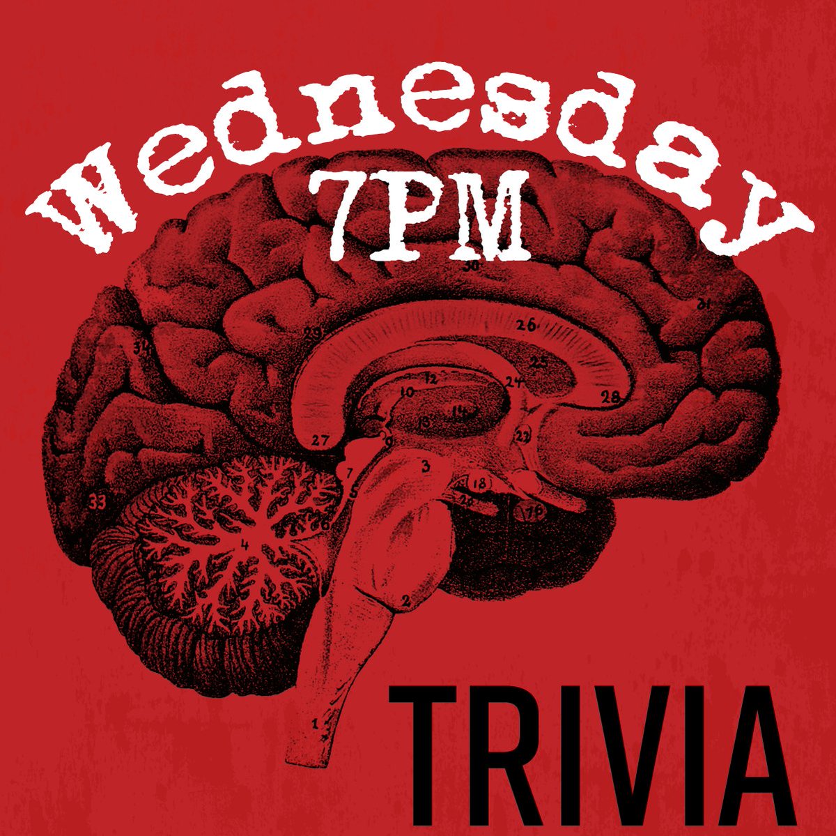 lauder_ale's tweet photo. Fuel your brain with trivia and beer. Get here early to sign up and grab a cold one.
#FortLauderdale #Trivia #BarTrivia #Drink954 #FortLaudy #BrowardBeerScene #PortEverglades #SouthFlorida #SouthFloridaFoodTrucks #SouthFloridaTrivia #SoFloBeer #SoFloTrivia #SoFloFood #SoFlo https://t.co/Ke5GsE6xmd