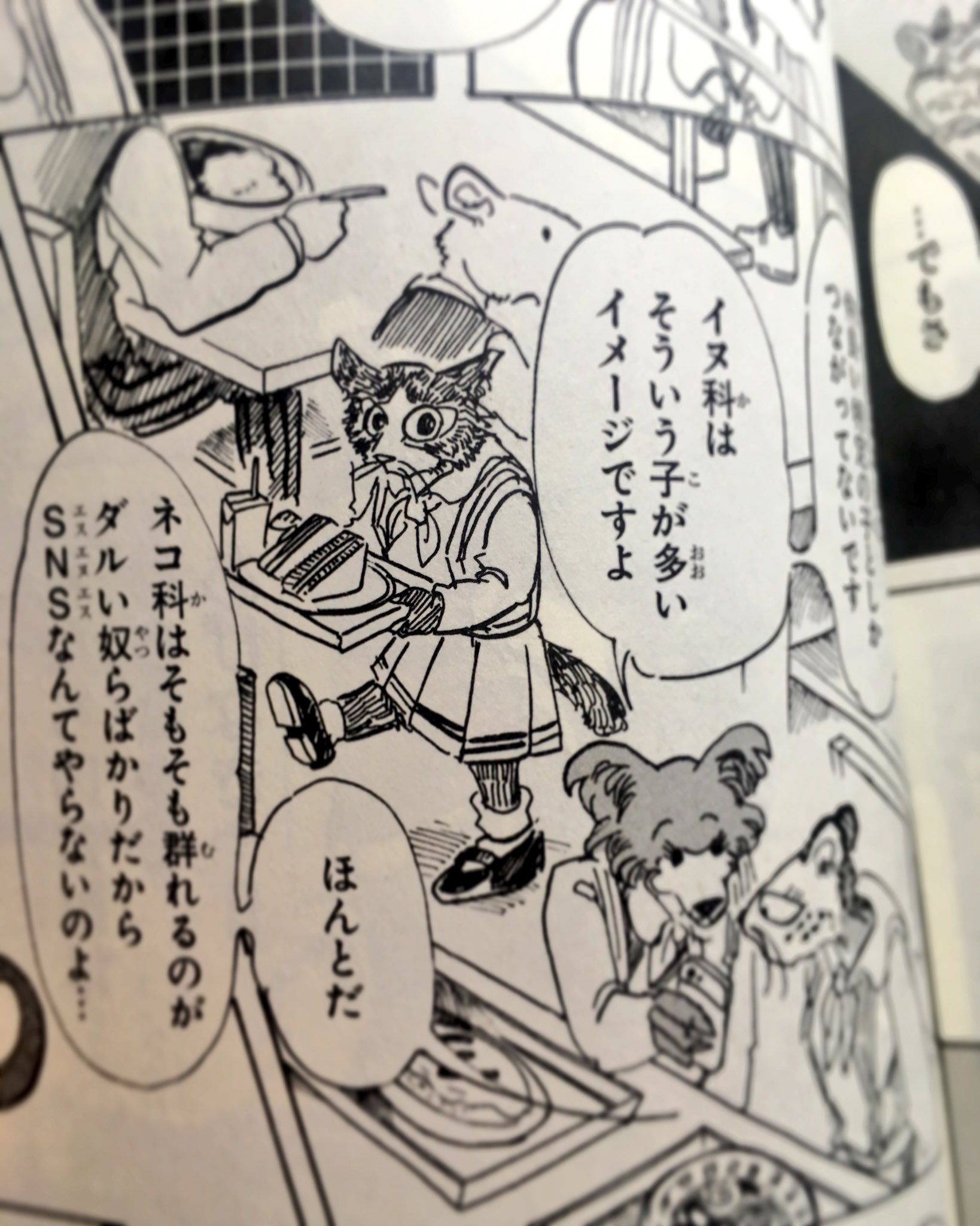 板垣巴留 Paru Itagaki 8巻から 今までのbeastars モブ史上でも結構かわいい子 ヤマネコのノブコ 板垣巴留 Paru Itagaki 8巻から 今までのbeastars モブ史上でも結構かわいい子 ヤマネコのノブコ