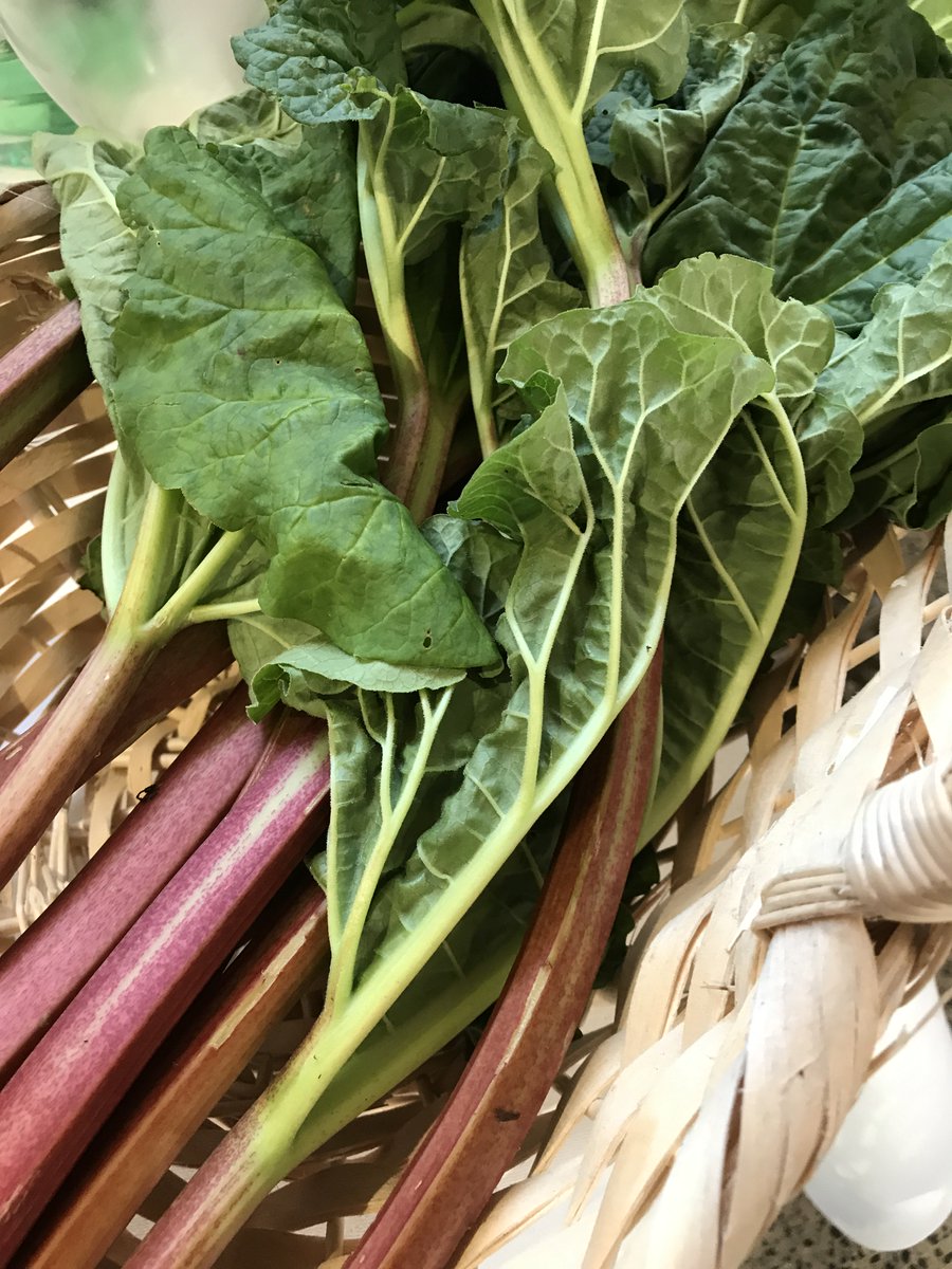 tourroir's tweet photo. Fresh rhubarb on display from @WildaboutFoods #Wexford at the recently held #tourroir18 #Galway a wonderful ingredient used in Wild About's popular cocktail syrup range and preserve range... Yum! #Cocktails #Jams #IrishFood #Seasonal https://t.co/rxoe2tpUv2