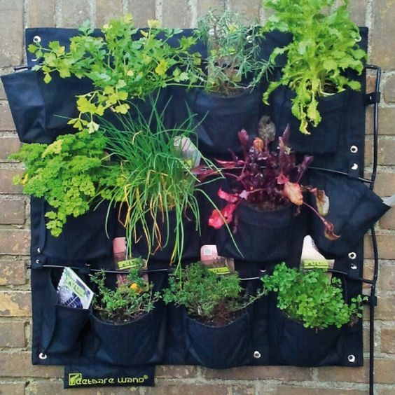 Jij kan nu ook een eigen moestuin beginnen zonder dat het te veel ruimte inneemt. Bekijk onze Pinterestpagina voor inspiratie! #Moestuin #Warentuin #Pinterest #Inspiratie ow.ly/AEAy30jQK00