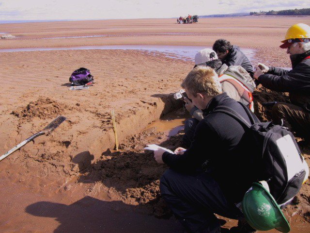 We have ca. 1.5 hr for a fieldtrip: digging trenches and studying the sedimentology. Sometimes luck strikes: here is a Spring-Neap cycle (thicker/thinner beds) with lithic fragments as "mud drapes". Lithics are shale, i.e. "platy" and thus settle after sand.  #MinasBasinTidal