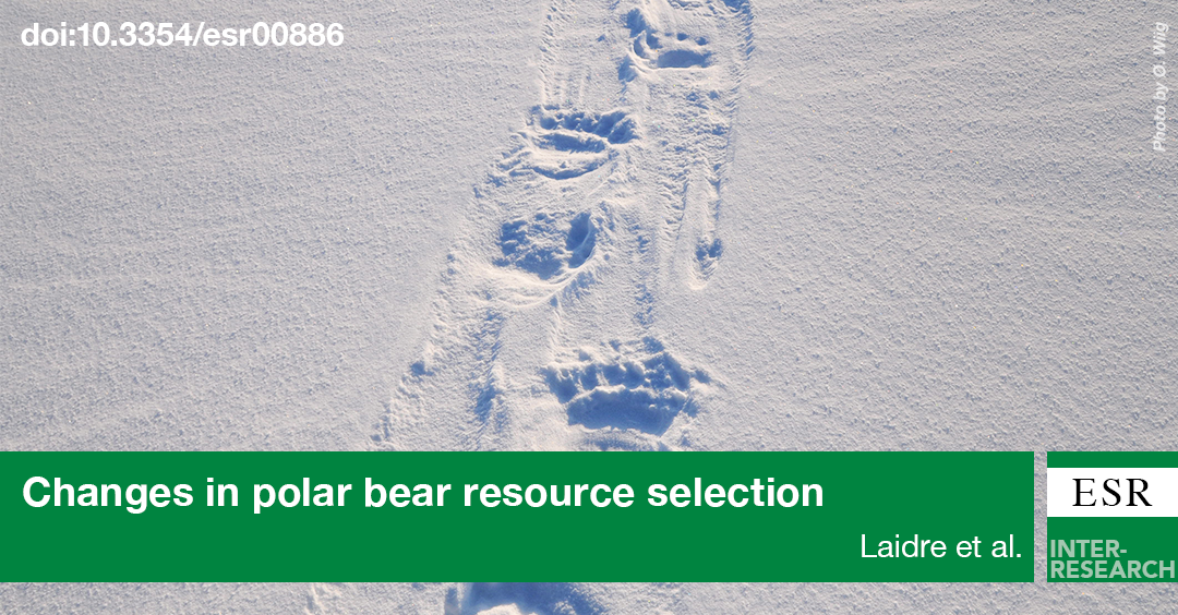 ESR_IR's tweet photo. #SatelliteTelemetry shows that Baffin Bay #PolarBears have used poorer quality sea-ice habitat over the last 2 decades due to climate change. New #OA study @ESR_IR https://t.co/MmX1b3MXQO https://t.co/dhsv9glnbH