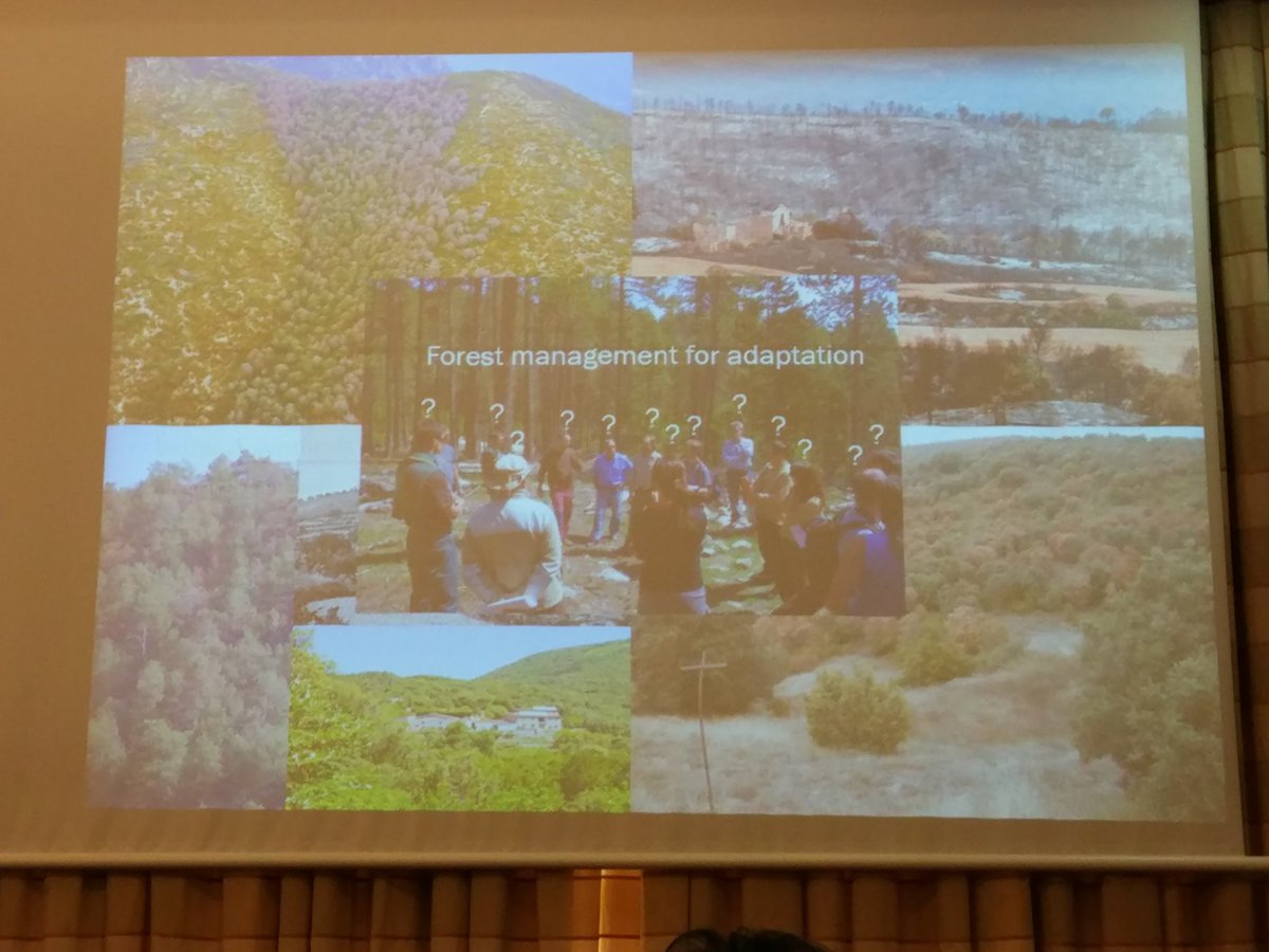 noeitra's tweet photo. Lluís Coll presenting the forest management options to adaptation in the Mediterranean basin. Work of the @ctforestal team in the final conference of the INFORMED project #foresterra #resilience #ecosystemservices https://t.co/5vvep1bViv