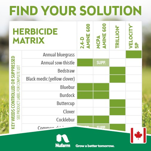 Weed Herbicide Chart