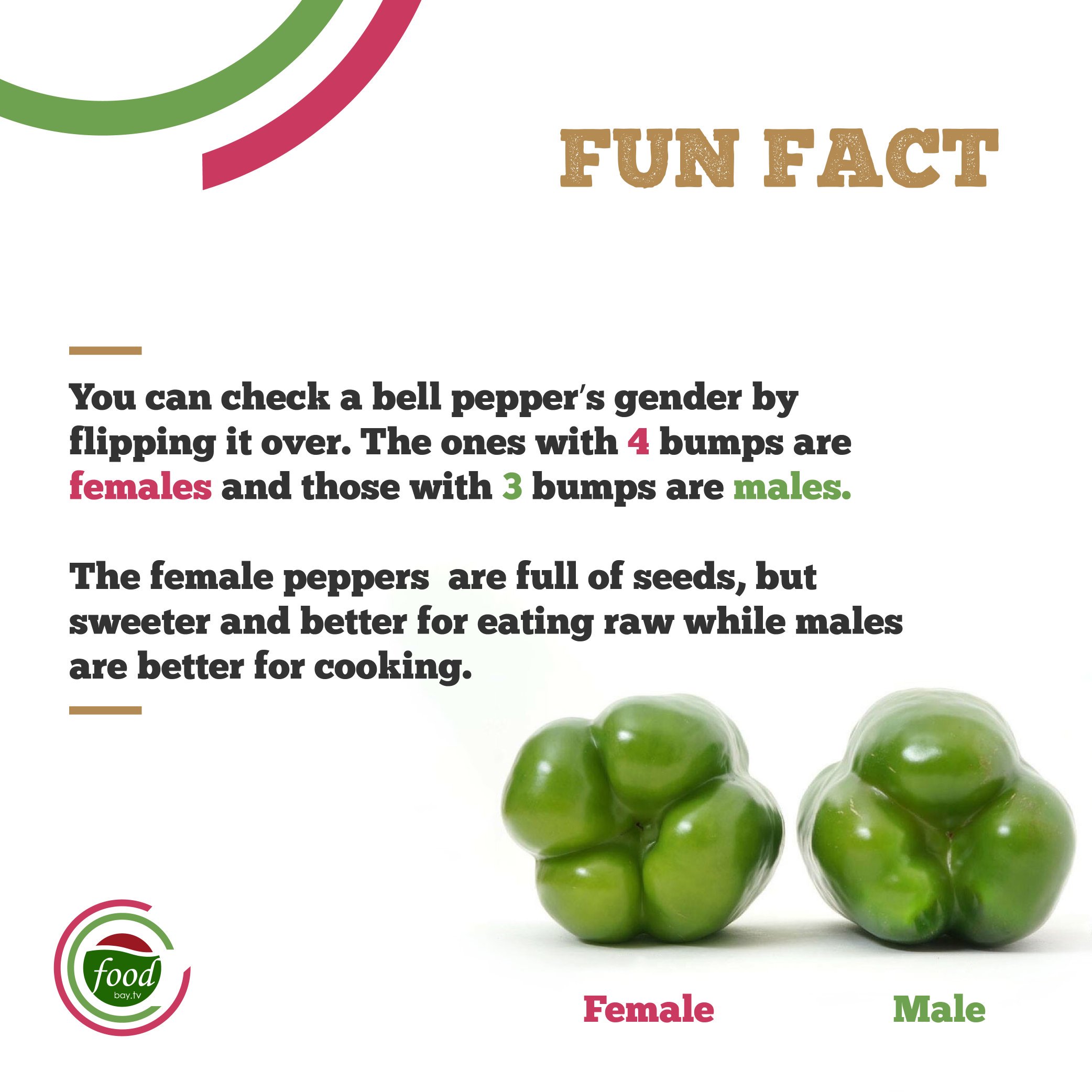 Male female sale bell peppers