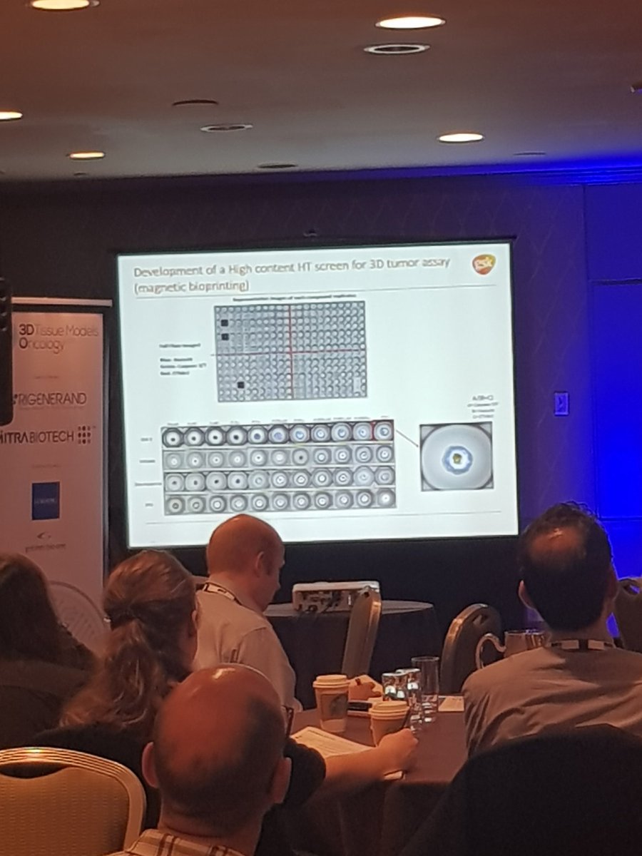 PREDiCT_Models's tweet image. Great presentation from @GSK&apos;s Jason Ekert exploring some of the scaling and automation challenges for #3D #tumor #spheroids. Was fascinating to see how they&apos;ve informed their emerging bispecific compounds.