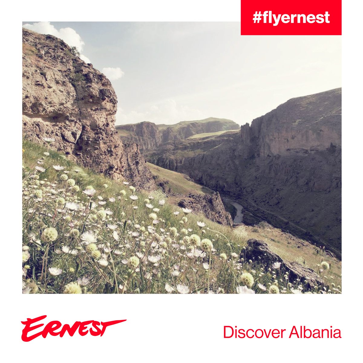 flyernest's tweet photo. L'Albania è salita di otto posizioni dall'ultimo report, il che significa che è un'entusiasmante destinazione di viaggio emergente. 😍
Intanto, assicurati di visitare la Riviera albanese e di passeggiare per Gjirokastra, la "città di pietra". 
Prenota: https://t.co/ETZ49jGlsc 😎 https://t.co/Bh4RsKGdf2