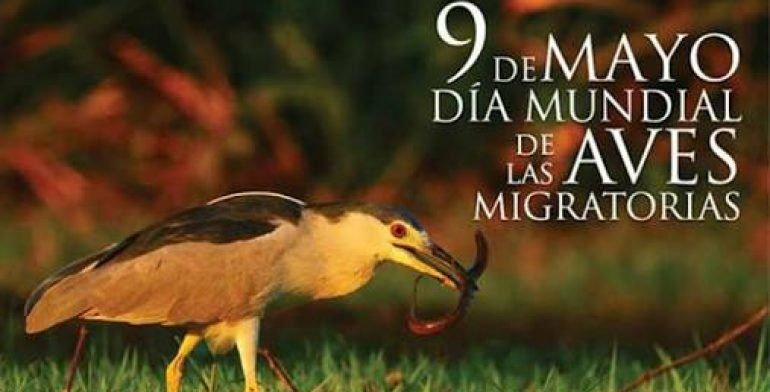 AtizapanJRM's tweet photo. #DíaInternacionalDeLasAves Las Aves juegan un papel fundamental en el ecosistema porque cumplen funciones como la  polinización de plantas y la distribución de semillas. Además de ser apreciadas por su extraordinaria belleza. #JuventudJRM @EdoMexJRM https://t.co/2TGy7qLyZq