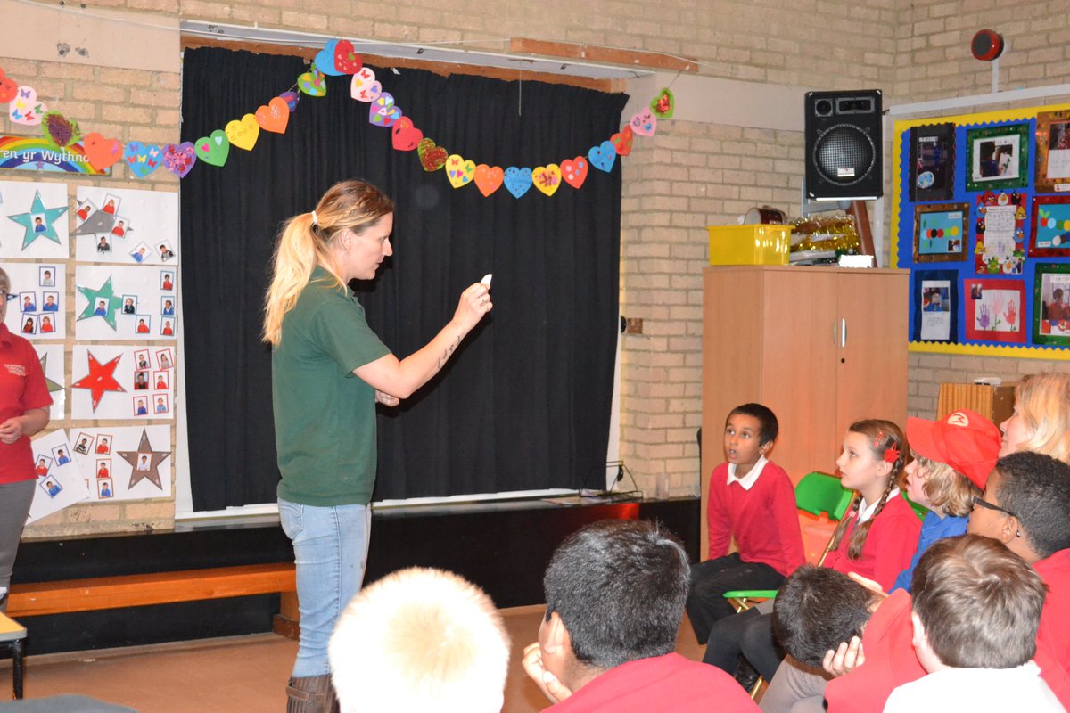 Many thanks for an eggcelent visit from @GMCFWales <a href="/GMCFED/">GMCF Education</a>. The children enjoyed eggploring the inside of our eggs and the opportunity to hold their live chicks #hollieschickwatch #holliesdigitaltherapy