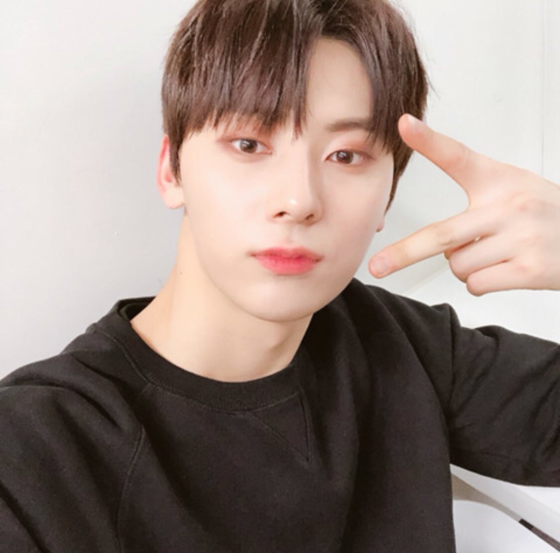 재빈도 tweet media