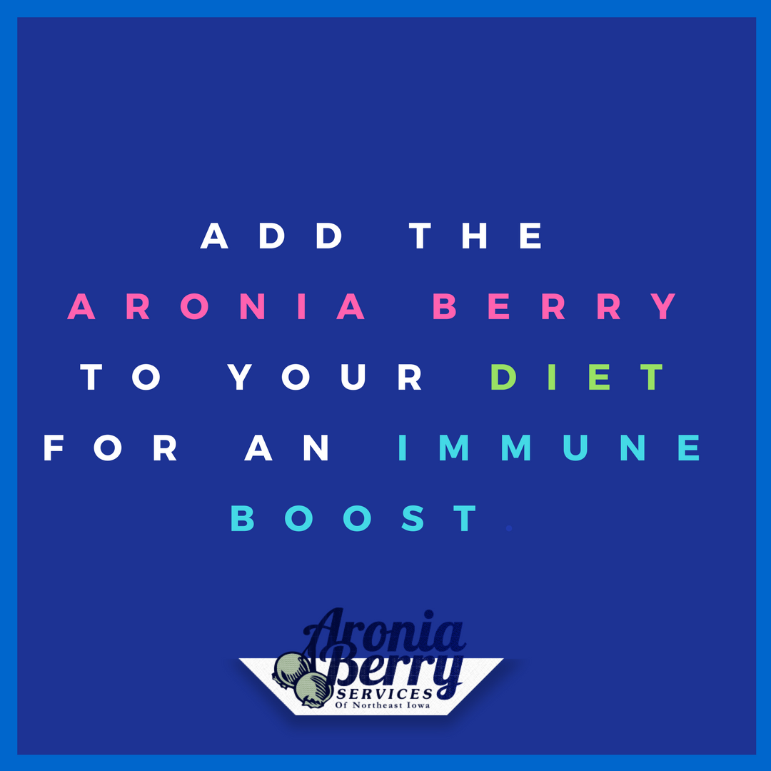AroniaBerryServ's tweet photo. If you're looking for a way to boost your immune system with the changing weather, look no further than the aronia berry! https://t.co/Qj4USj1qLT