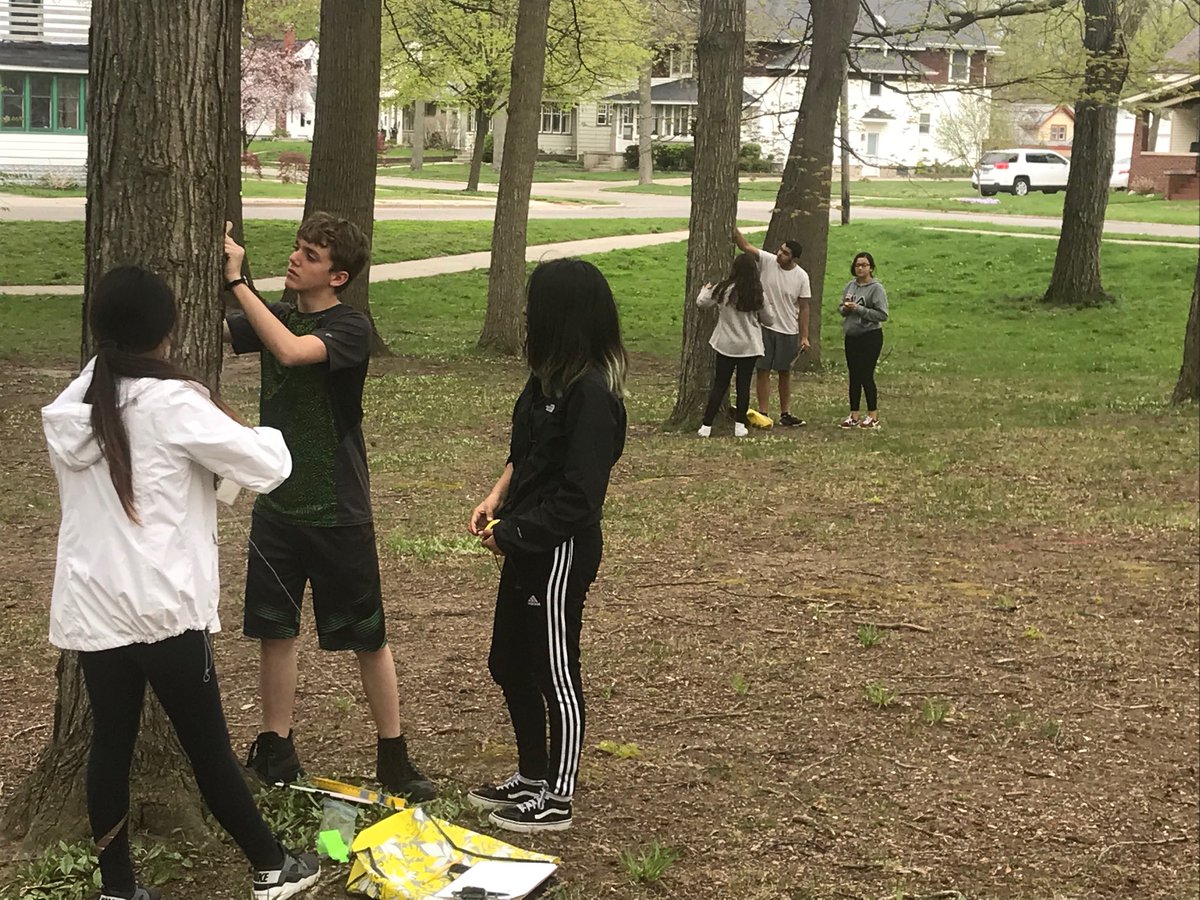 Harrell107's tweet image. Collecting data on carbon in the trees of Prospect Park #newshec #real #carbon #carbonfootprint