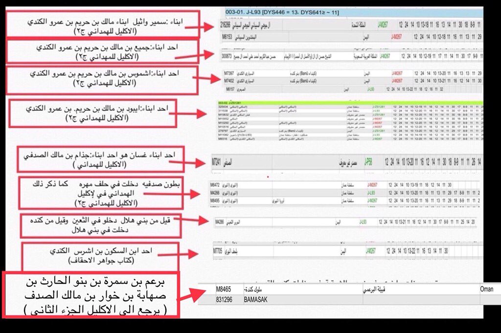 علم الجين DAN tweet media